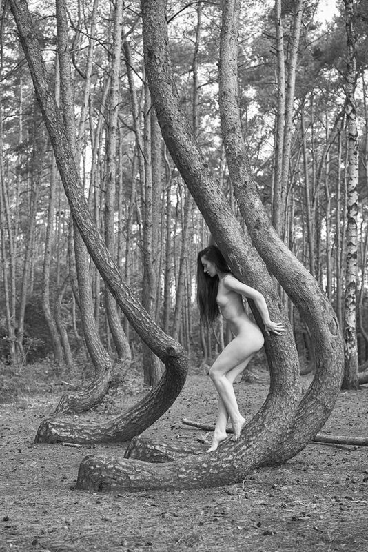 nude, forest , BW , girl ,  crooked forest фото превью