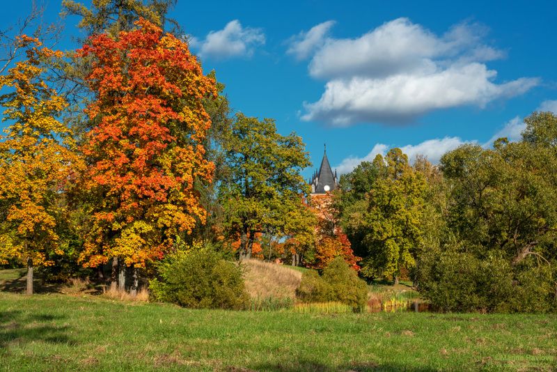 город, архитектура,александровский парк, пейзажный парк, замок \\\\\\\