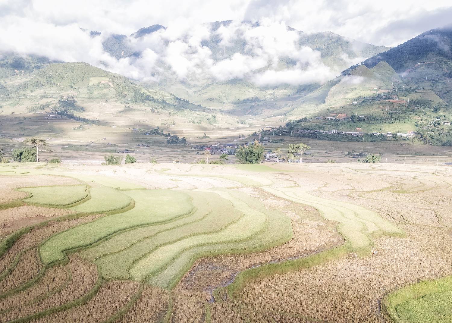 , Поляков Владимир