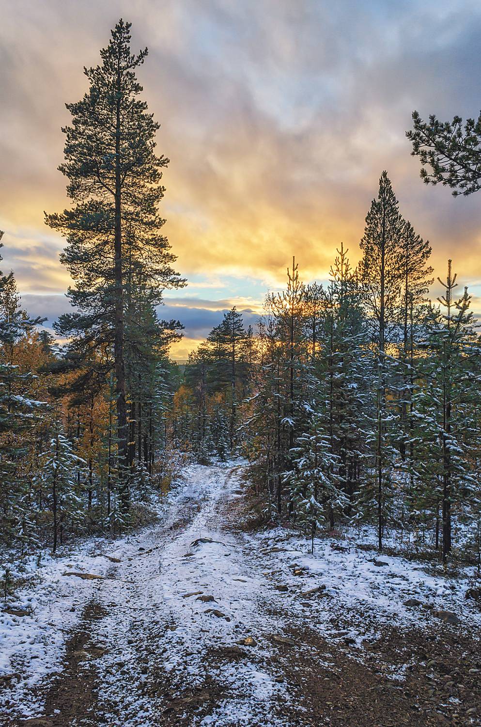 кольский, осень, снег, закат, Тихонов Сергей