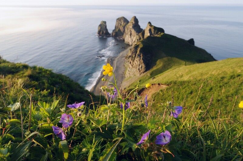 * фото превью