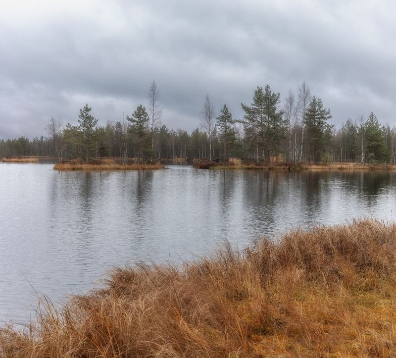 ленобласть, осень, ноябрь *** фото превью