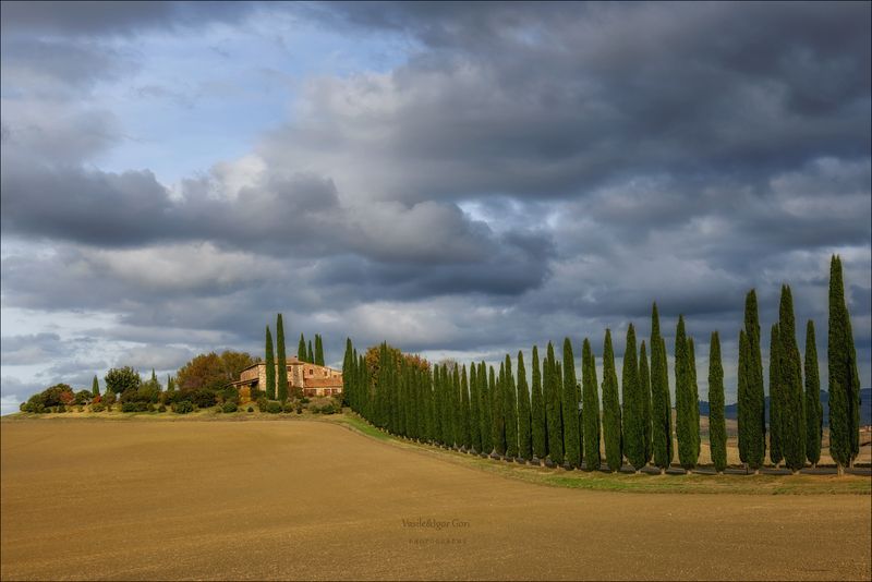 italy,san quirico d\\\\\\\'orcia,italia,италия,тоскана,pienza,кипарис,toscana,осень,tuscany,cipressi,belvedere,пьенца,тени,вилла,poggio covili Вилла с кипарисовой аллеей фото превью