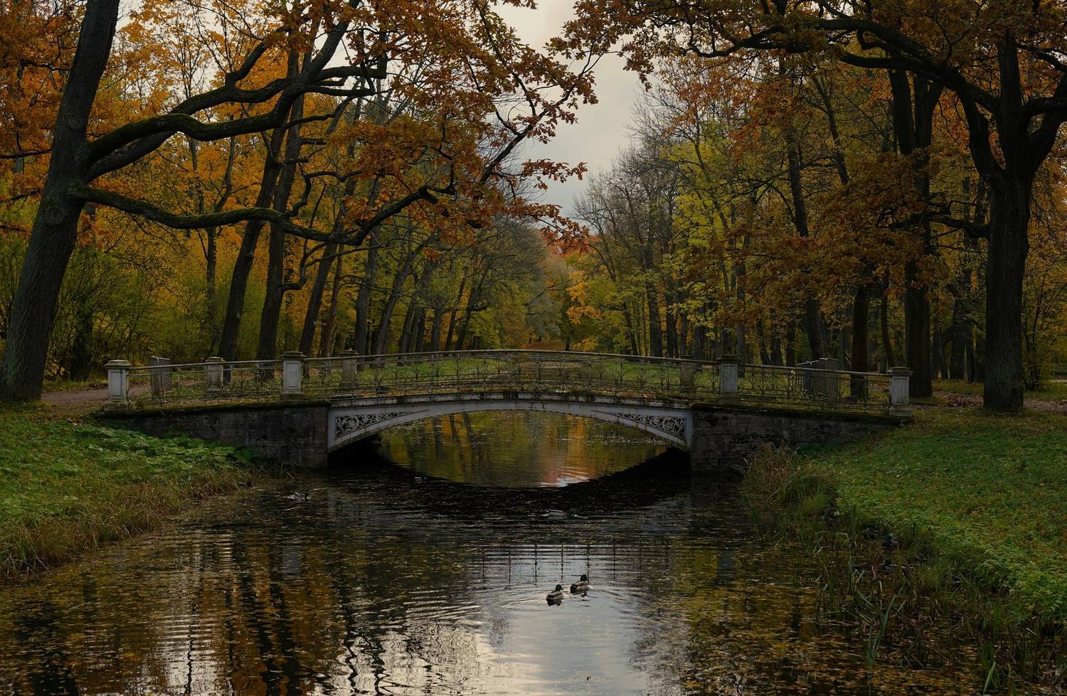 ,  Сергей Андреевич