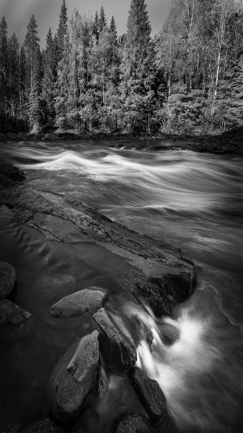 , Юрий Руднев