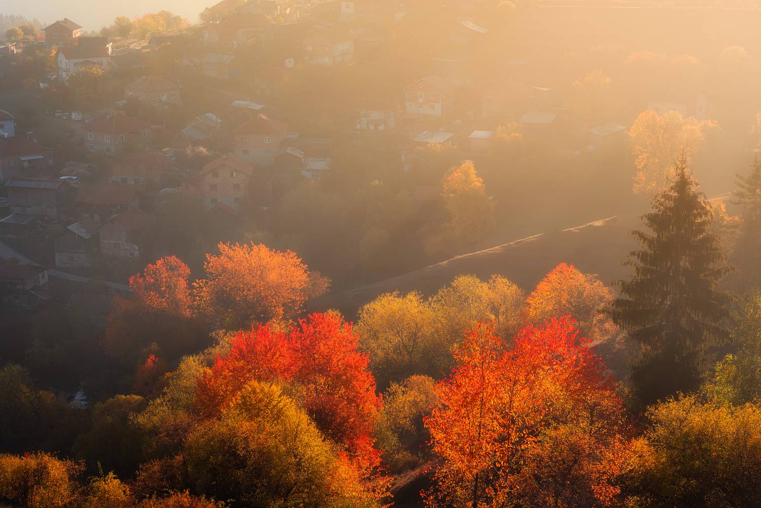 , Mariyana Atanasova - Lucero