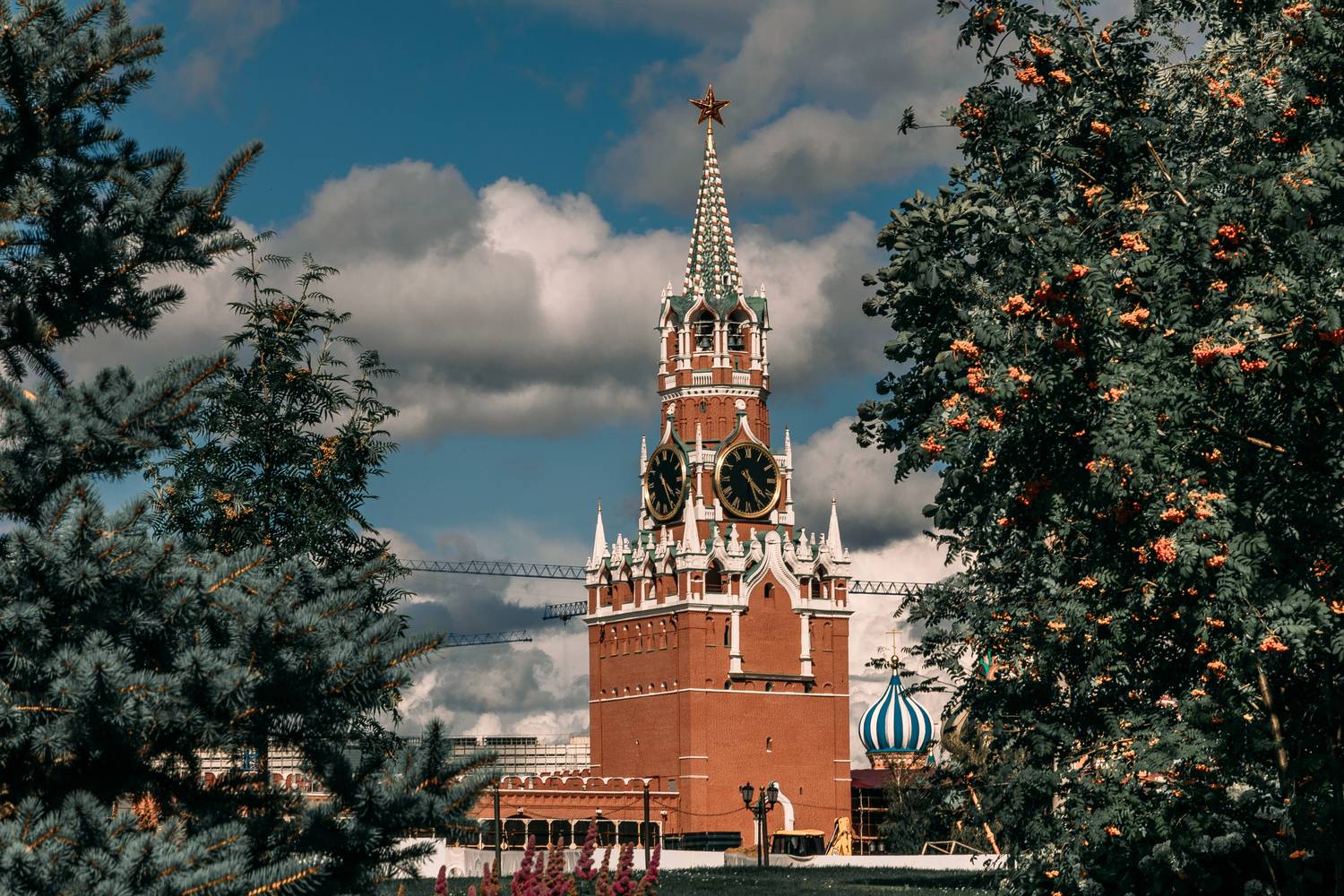 , Трепольский Дмитрий