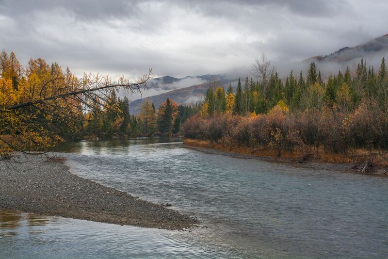 россия, горный алтай,осень, река, утро Утро после дождя фото превью