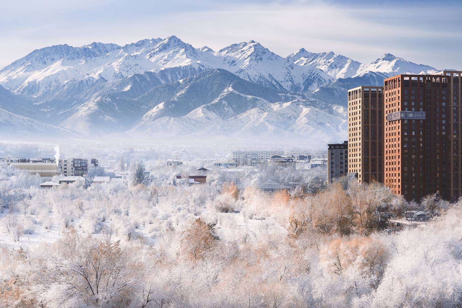 , Купчиков Илья