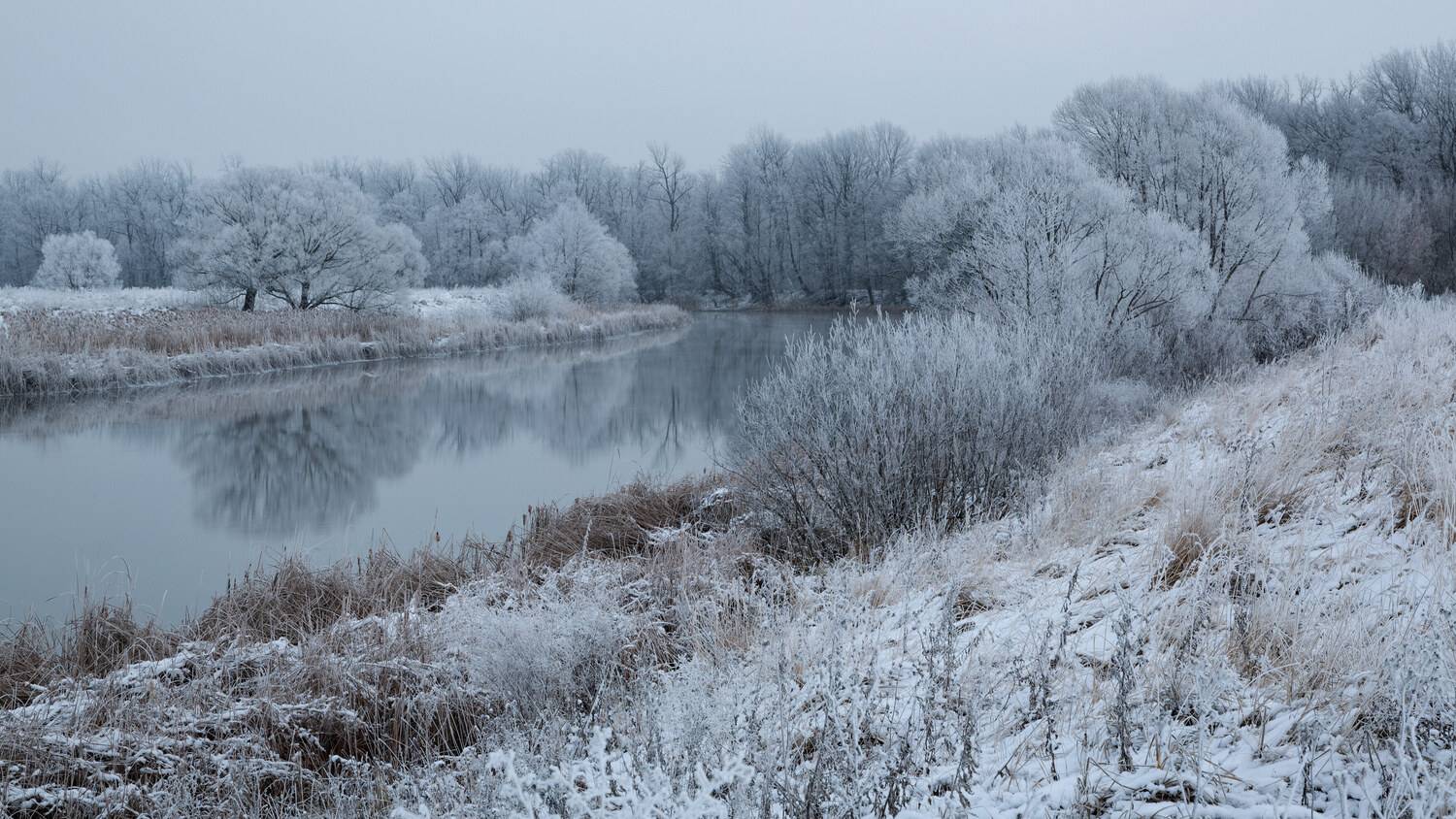, Александр Бредихин