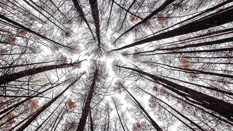 Костромской край. фото превью