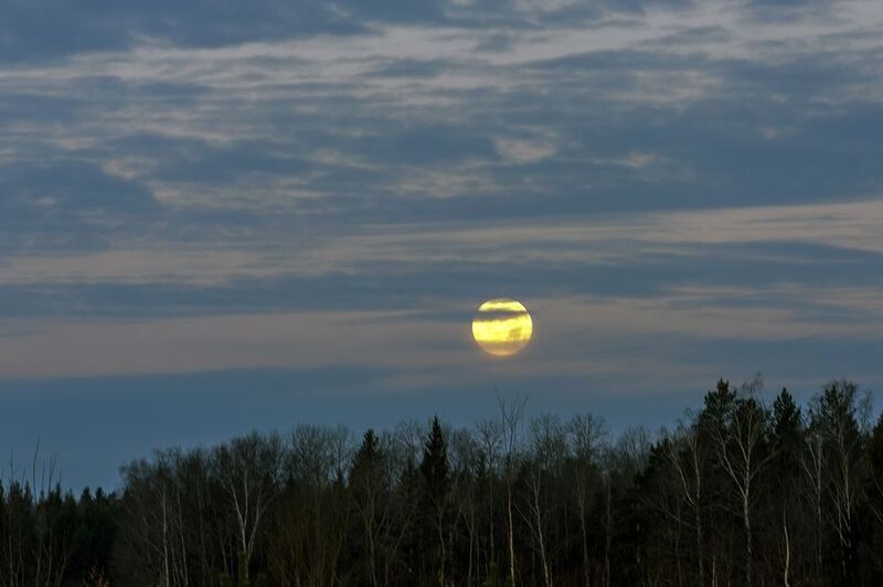 Бобровая луна фото превью