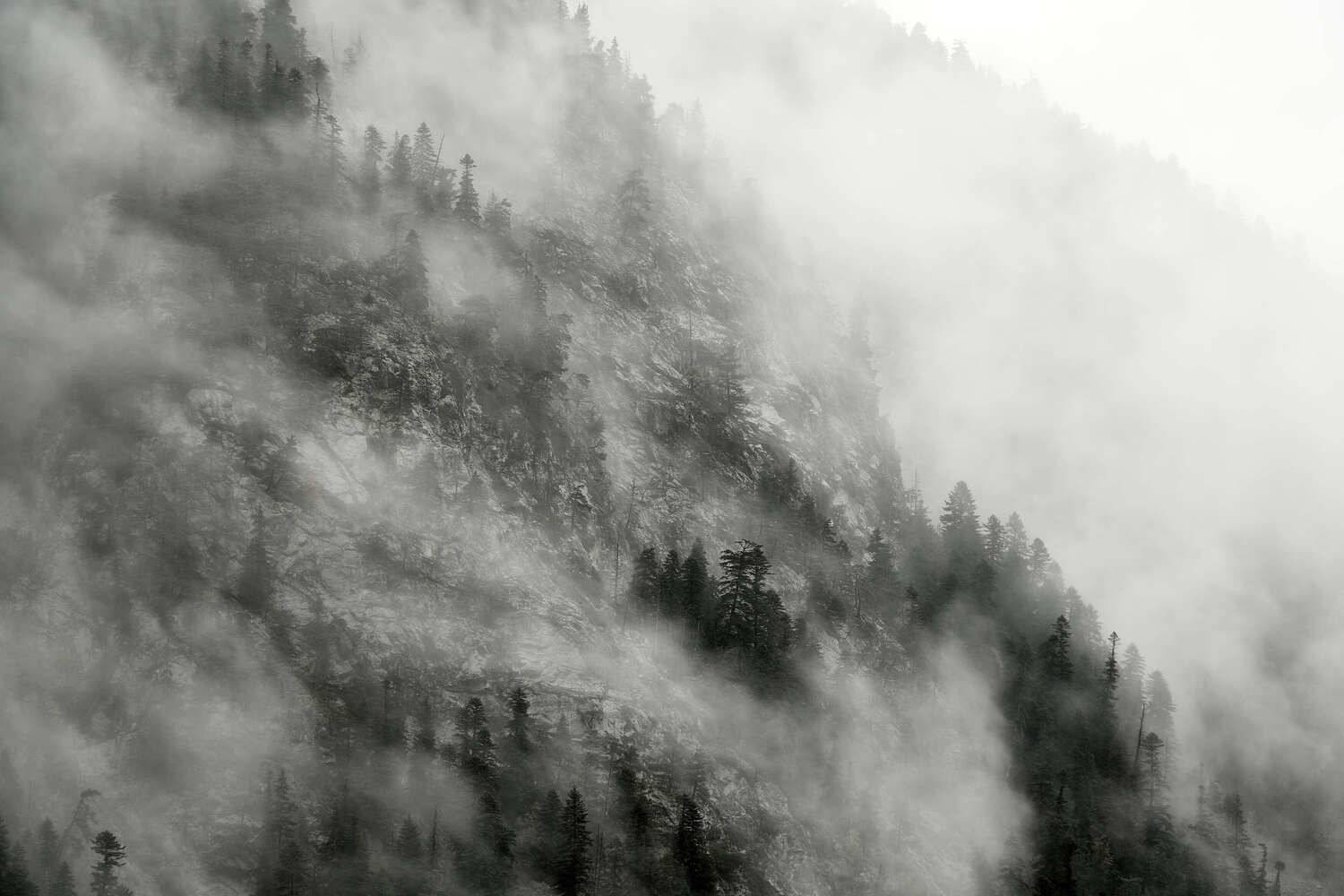 Домбай, Абдулаев Ян