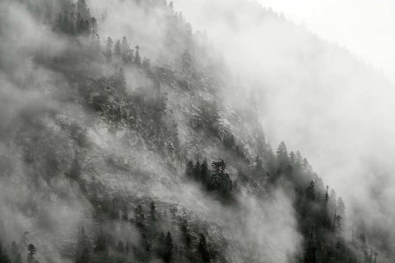 Домбай Лес фото превью