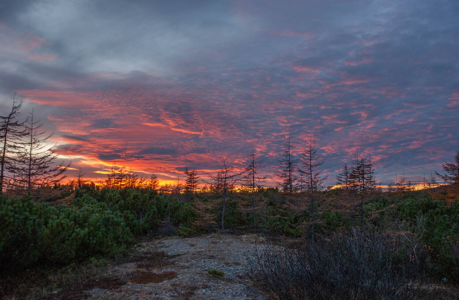 , Андрей Загребельный