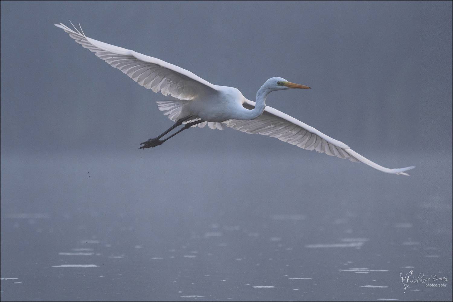 , Лобанов Роман