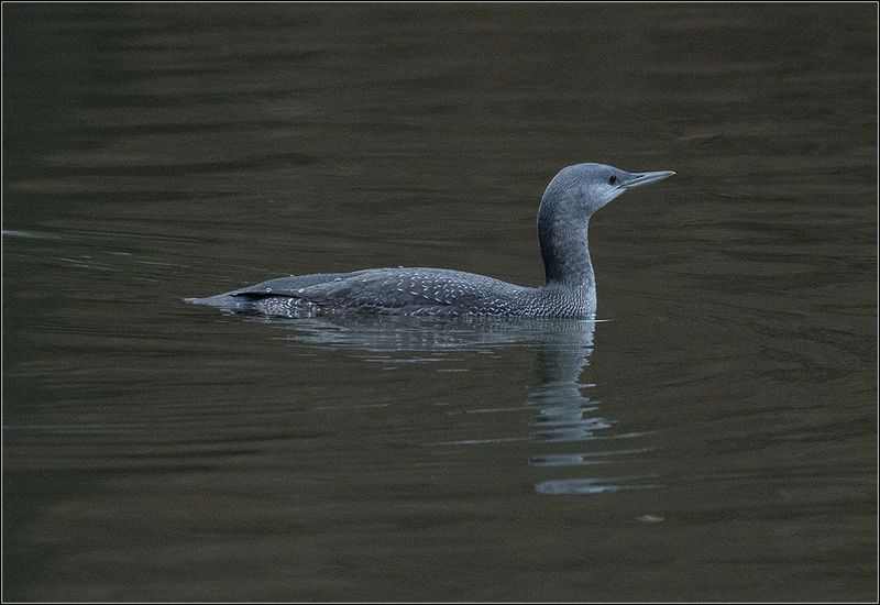 москва, парк, гагара ******* фото превью
