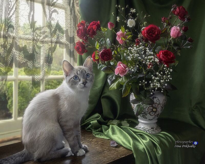 Айс с букетом октябрьских садовых роз фото превью