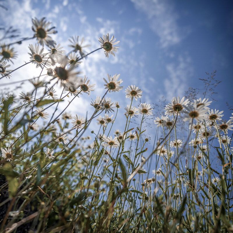 *** фото превью