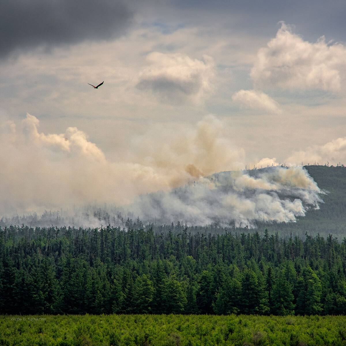 , Капустин Игорь