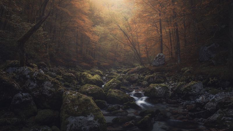 Whispers of Oblivion фото превью