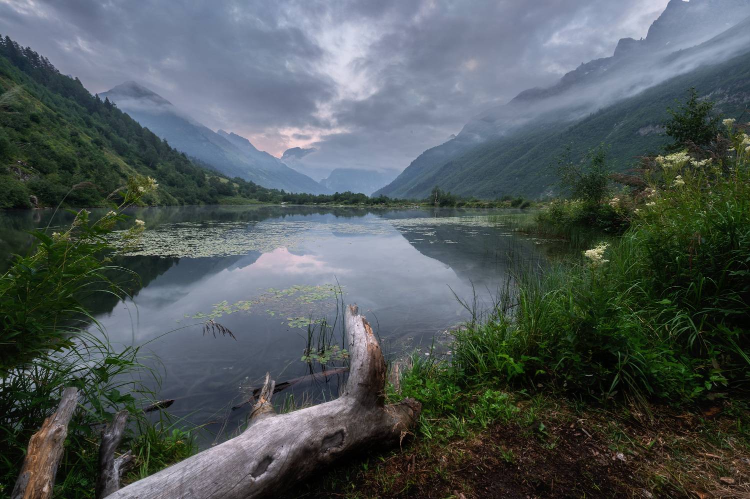 , Алексей Турчин