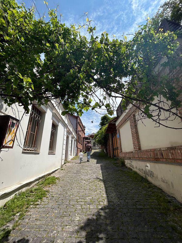 перспективный путь... фото превью