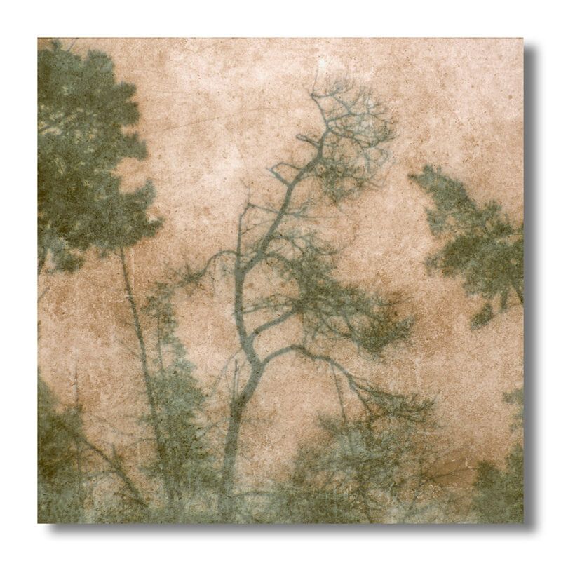 пикториализм, монокль, арт-фотография, художественная фотография, пикториальный пейзаж, пикториальная фотография, интимный пейзаж Интимный пейзаж 1 фото превью