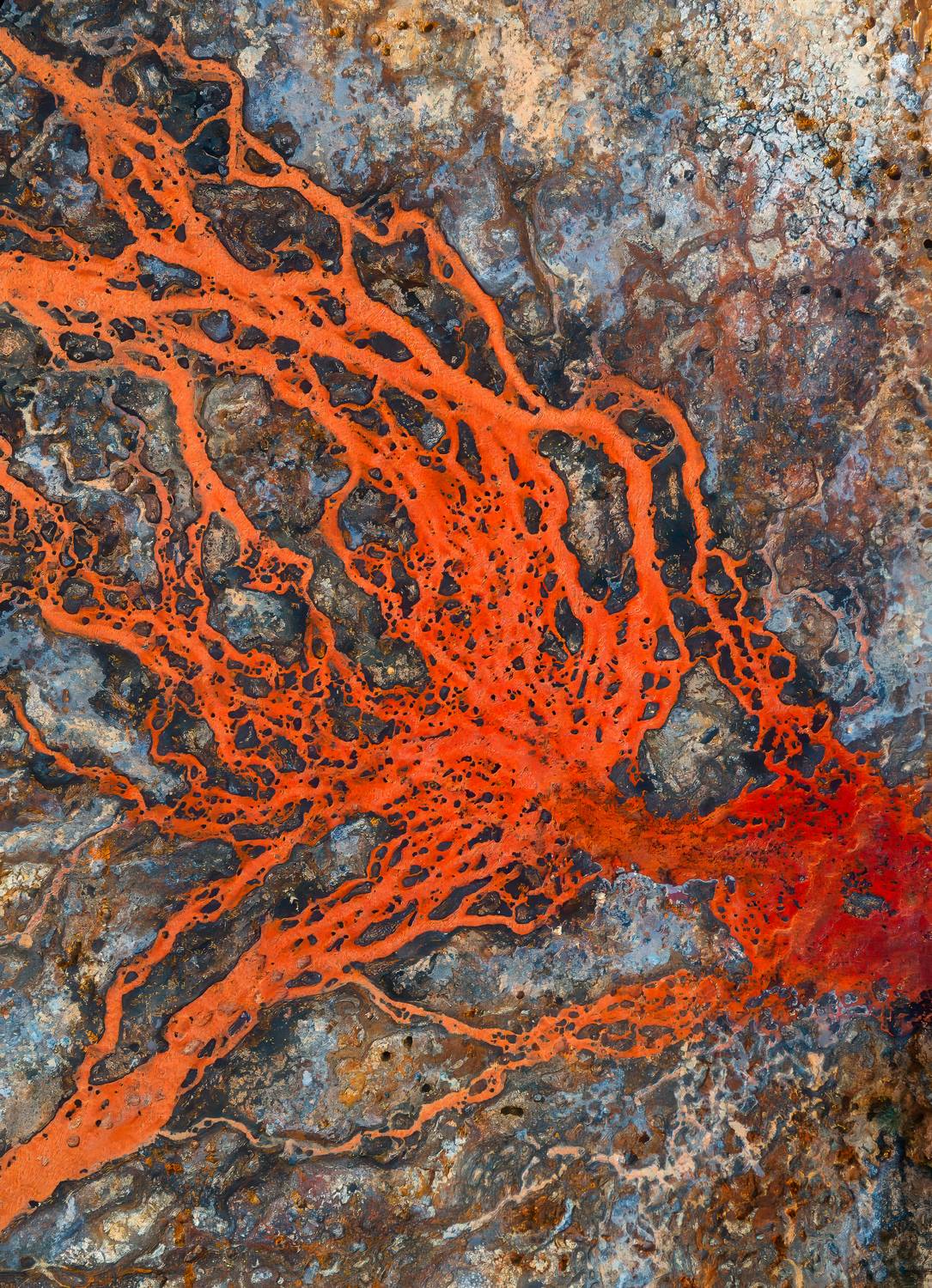 , Вукотић Никола