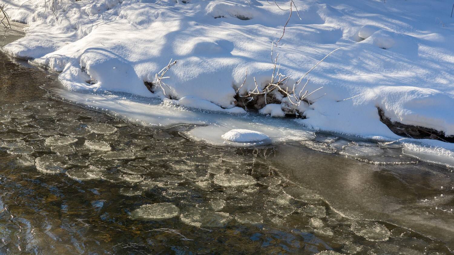 базаиха ноябрь, Беляев Юрий