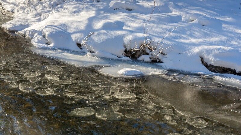 базаиха ноябрь ** * фото превью