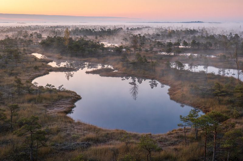Утро на болоте. Октябрь фото превью