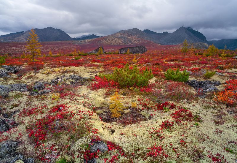 Фототуры с Владимиром Рябковым, #topnature #russpasibo #magic_shots #lovelyRussia #sunset_vision #exclusive_sky  #exclusive_shots #loves_russia2 #photoarena_nature #nature_sultans #nature_perfection #rsa_sky #rsa_sunset #photorussia #rsa_naturepics #sunse Горные тундры...  фото превью