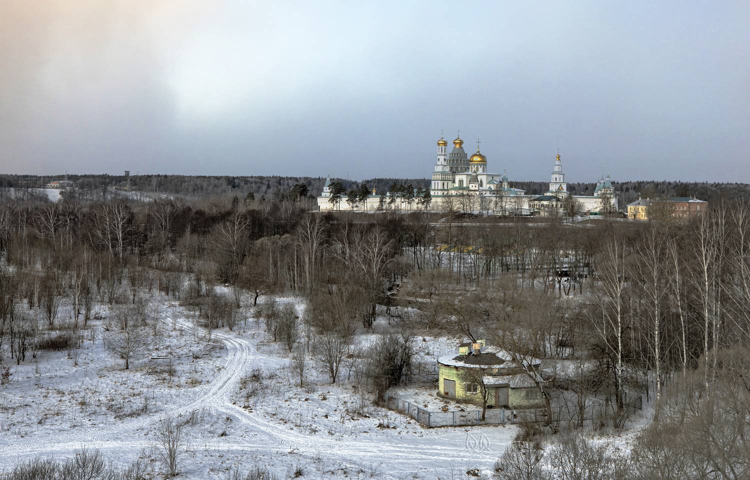 истра, Бирюков Вячеслав