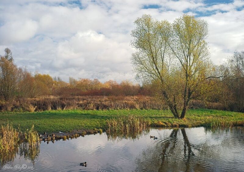 *** фото превью