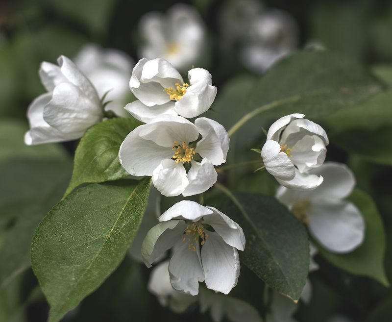 Утро фото превью