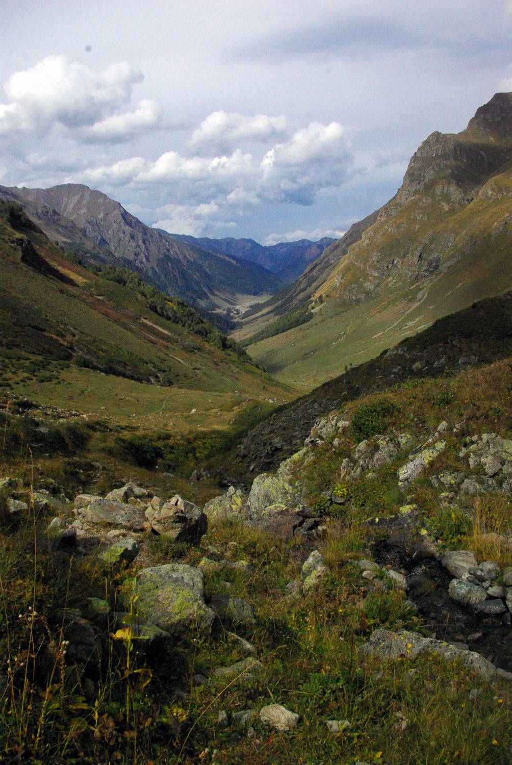 архыз, Андрей Любимов