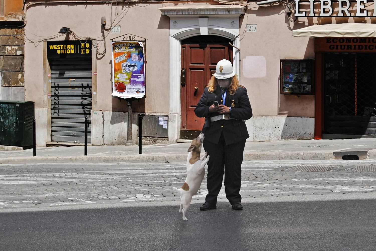 полиция, собака, улица, полицейская, штраф, Ходос Илья