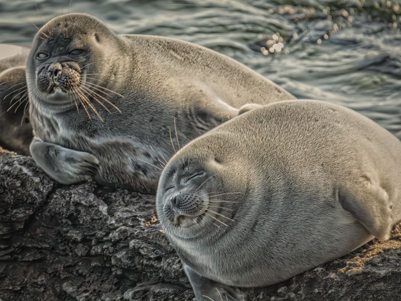 Семейный портрет фото превью