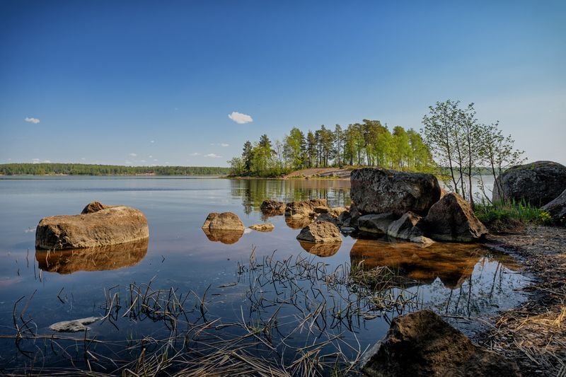 выборг., парк, монрепо., весна  фото превью
