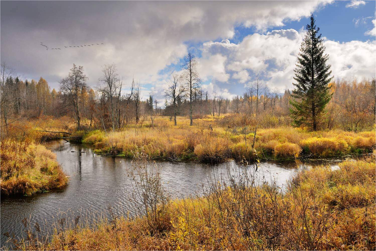 , Анатолий Гулин