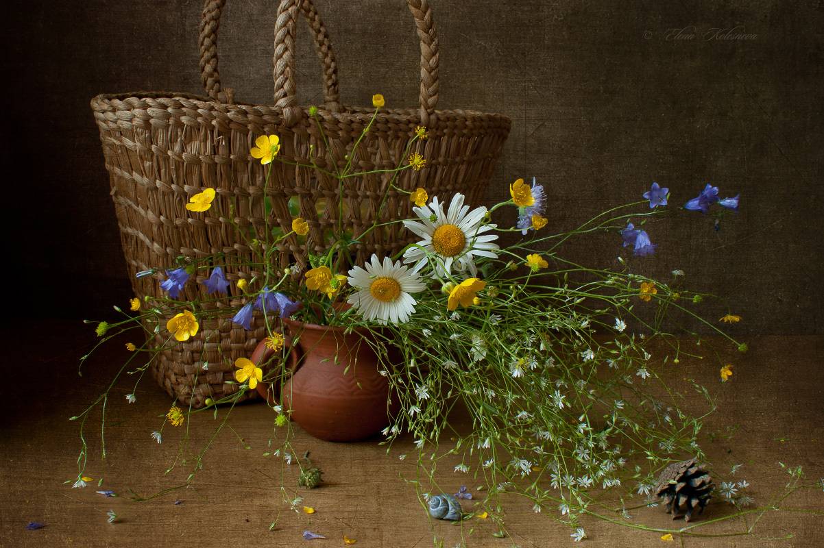 лето, букет, цветы, ромашки, Колеснева Елена