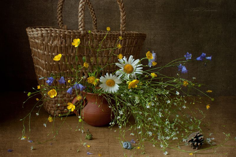 лето, букет, цветы, ромашки Букет из леса фото превью