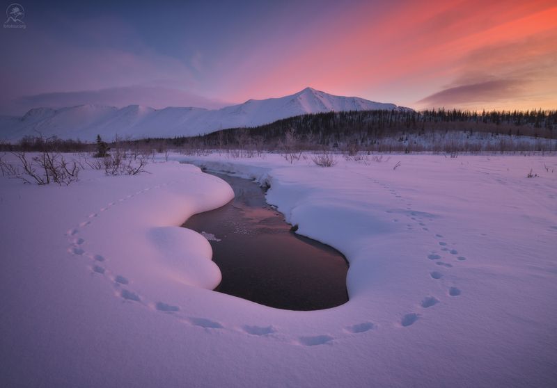 кольский, зима, фототур на кольский, мурманская область, хибины, зимний кольский, заполярье Хибины фото превью
