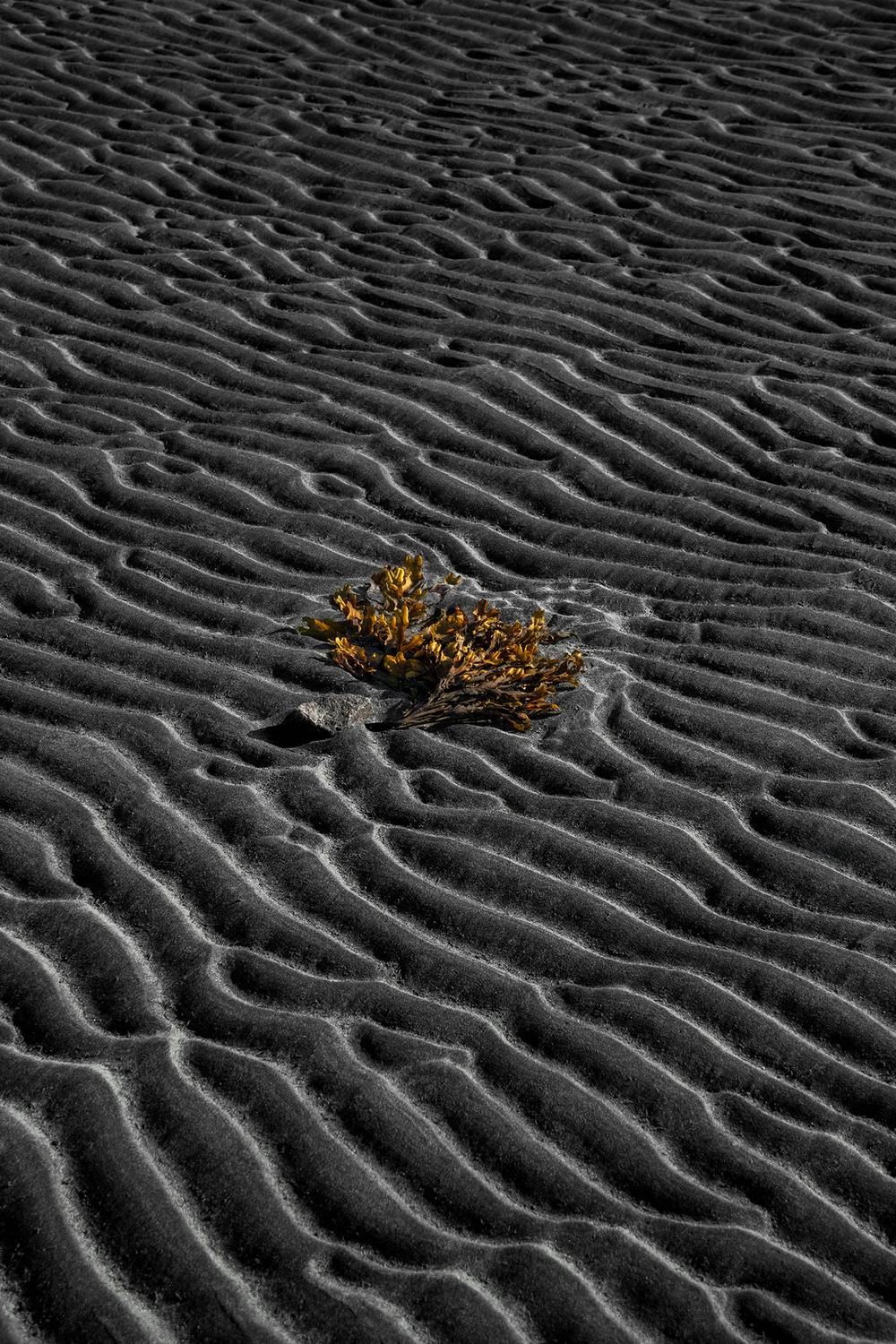 абстракция, минимализм, кольский, море, Растворов Игорь