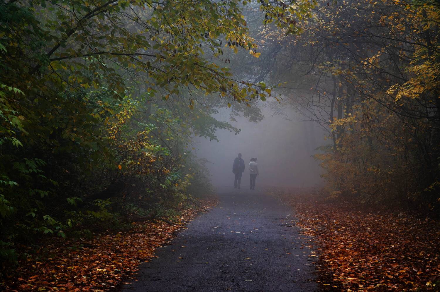 , Шевченко Юрий