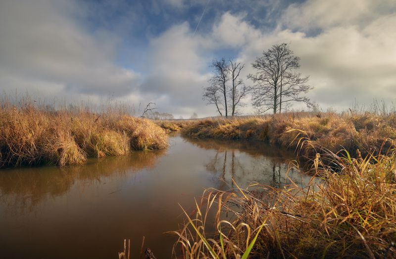 Облачно,с прояснениями ... фото превью