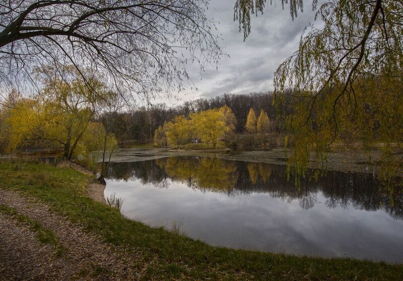 *** фото превью