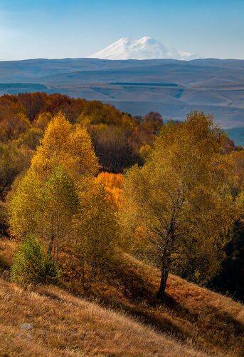 Кисловодский парк
