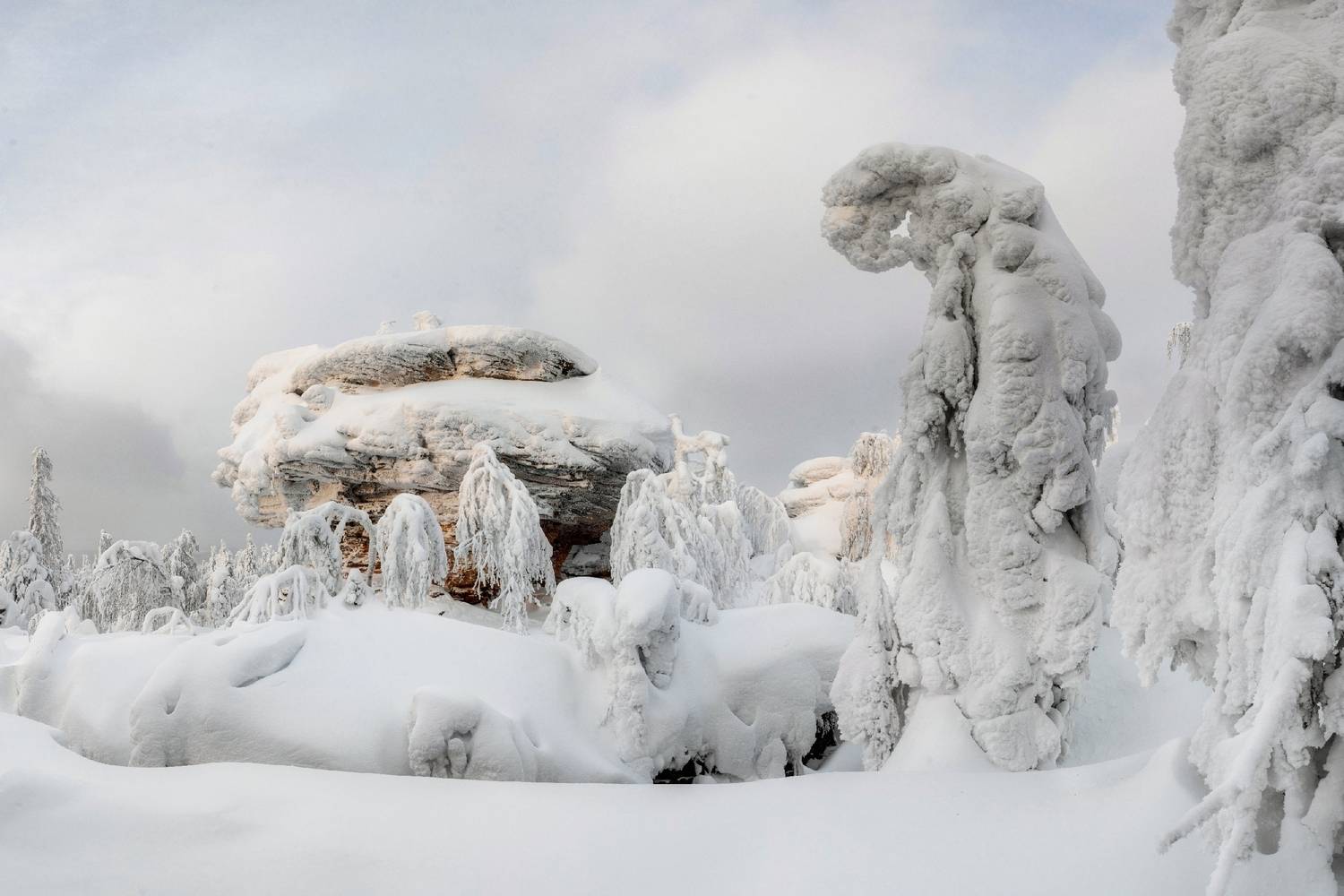 , Малыгин Андрей